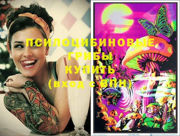 дмт Гусев