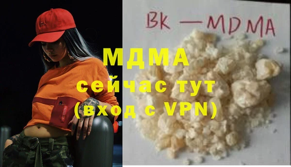 дмт Гусев