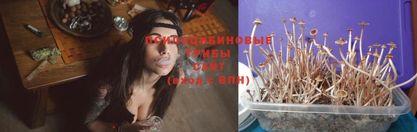 МДПВ Гусь-Хрустальный