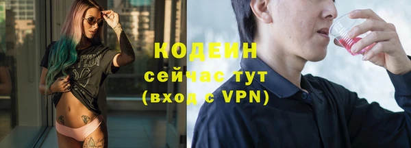 дмт Гусев
