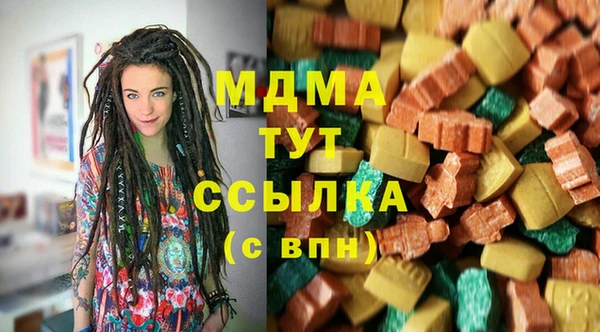дмт Гусев