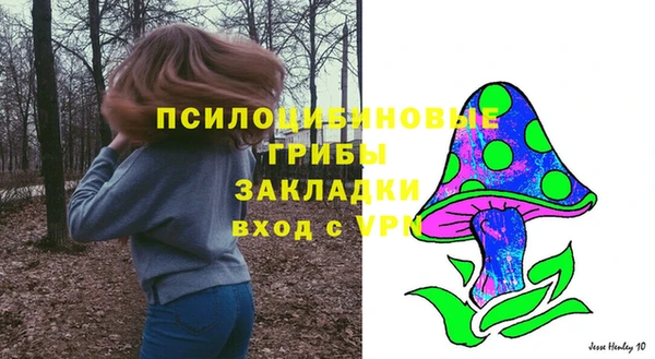 МДПВ Гусь-Хрустальный
