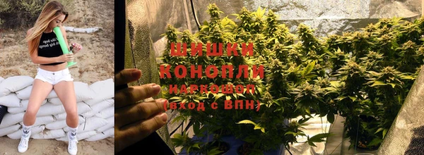 гидра Дмитриев