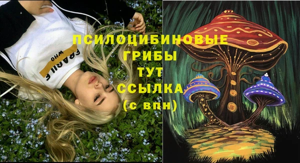 сатива Гусиноозёрск
