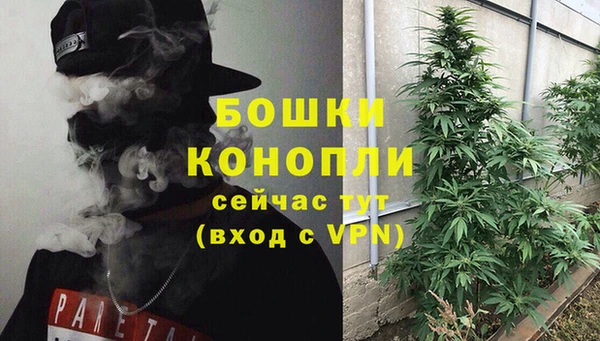 сатива Гусиноозёрск