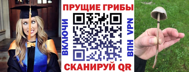 Галлюциногенные грибы прущие грибы  Купить  Кашира 